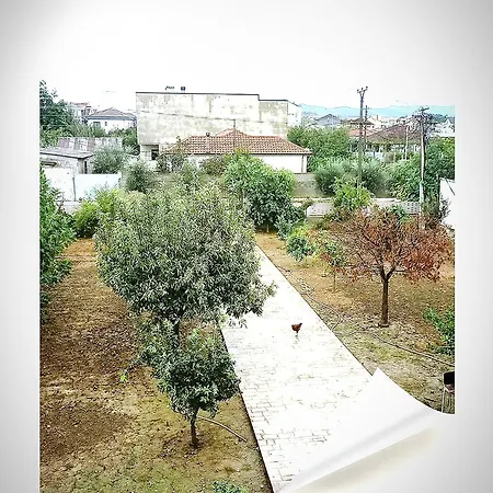 Alessia For Rent View
