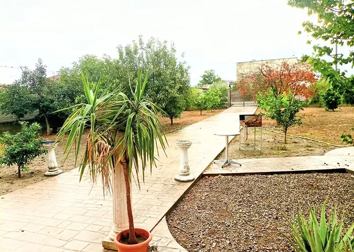 Elena For Rent Feeling Durres Xhafzotaj